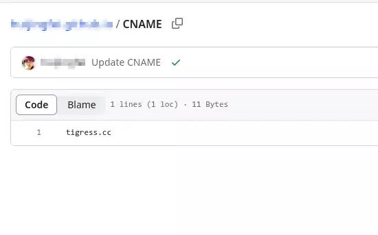 GitHub Domain CNAME