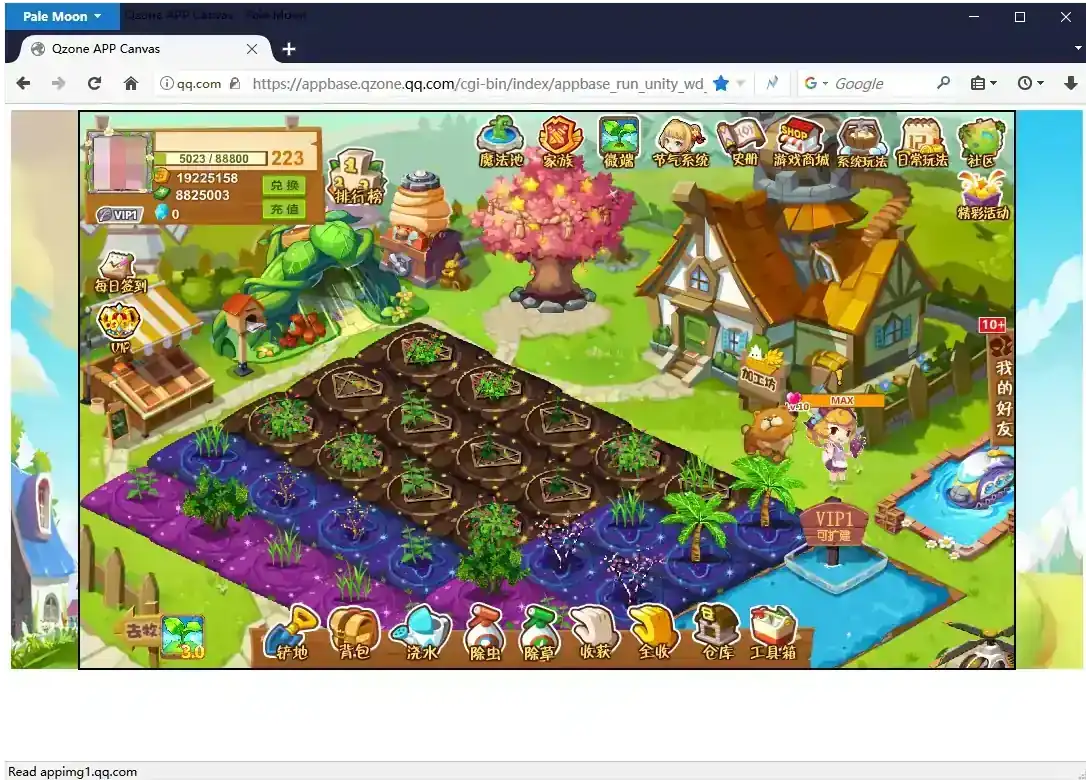 Flash Player