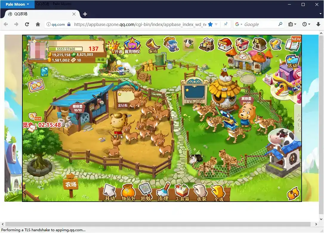 Flash Player