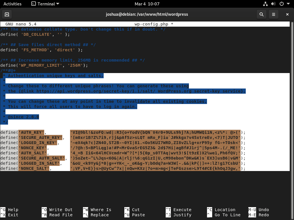 密钥安全步骤: 在 Debian 上的 LEMP 安装过程中,在 WordPress 配置文件中添加盐密钥。