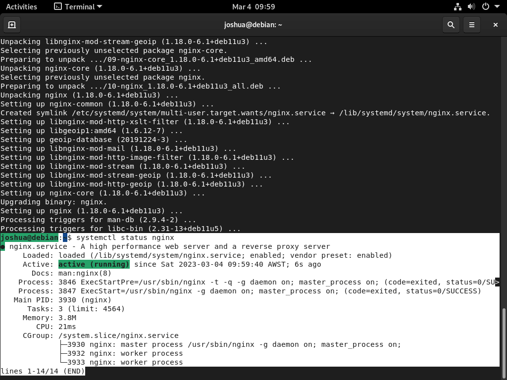 在 Debian Linux 上使用 LEMP 安装 WordPress 后,显示 Nginx 成功状态的终端截图。